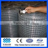 high quality galvanized welded wire mesh