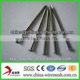 Bright Common Nails thumbnail-1