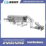 China Manufacturer Vegetable and Fruit Continuous Pre-boiling Machine