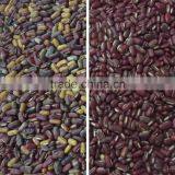 Shenzhen CCD Red Bean Color Sorter/Sorting Machine With Competitive Price / Good After-Sale Service thumbnail-4