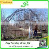 Searea Commercial Single-span Greenhouse thumbnail-2