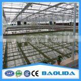 Galvanized Steel Pipes Greenhouse Structure For Sale thumbnail-3
