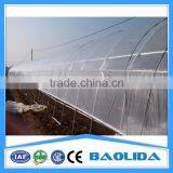15 Years Warranty 100% Single Span Tunnel Greenhouse thumbnail-3