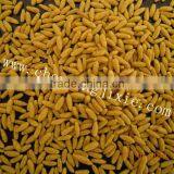 Fully Automatic Stainless Steel Puffed Rice Cereals Processing Line 86-15553158922