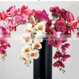 Colorful Mini Real Touch Artificial Orchid Flower thumbnail-1
