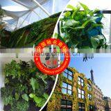 Vertical Garden Decoration Planting Bags thumbnail-1