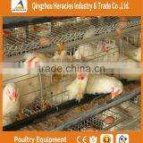 High Quality Cheap Poultry Cage Layer Chicken Used Chicken Cage thumbnail-4
