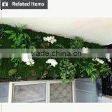 Gardening Christmas Gift for Wall Rock Decoration Moss Stone thumbnail-6