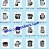 Galvanized Pipe Fittings Elbow, Tee, Bushing, Nipple, Plug, Socket, Union