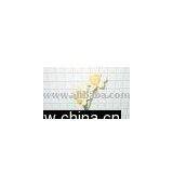 DAFFODIL X 2 W/2 LVS