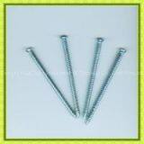 Galvanized White Zinc Plated Concrete Screw thumbnail-2