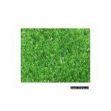 Synthetic Turf thumbnail-1
