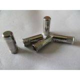 Stainless Steel Thin Head Rivet Nuts