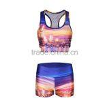 Women Padded Sports Yoga Racerback Athletic Gym Vest Bra Fitness Shorts Set thumbnail-3
