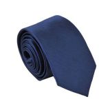 Double-brushed Blue Polyester Woven Necktie Stwill Knit