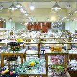 Guangzhou Guotian Hotel Supplies Supporting Co.ltd company overview - view 2 thumbnail