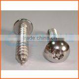 China Supplier Torx Truss Head Anti-theft Screw thumbnail-5