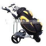 Electric Golf Trolley Lithium Battery 105L
