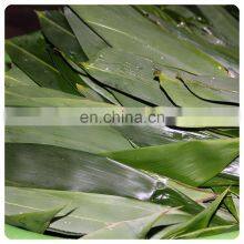 Wholesale Wild Natural Hand-picked High Quality Dried Bamboo Leaves From Vietnam thumbnail-3