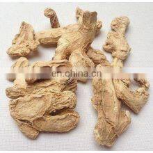 SPICE OR FOLK MEDICINE GOOD PRICE DRIED GINGER FOR EXPORTING MADE IN VIET NAM