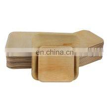 Approved Disposable Biodegradable Palm Leaf Square Plates thumbnail-1