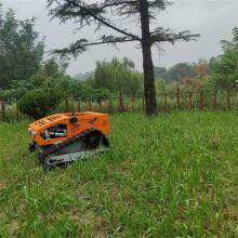 remote control lawn mower with tracks, China remote control slope mower for sale price, robot slope mower for sale