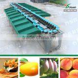Kiwi Fruit Sorting Machine/potato Selector/onion Selector for Sale