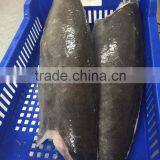 Frozen Oilfish Filets thumbnail-4