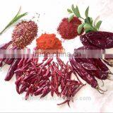 Big Size Chili Cutting Ring Chili Segment Chili Circle thumbnail-3