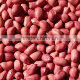 red skin peanut kernels 40/50 50/60