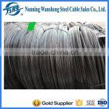 3.2mm Galvanized Steel Wire