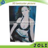 Custom Lenticular Printing Flip Effect Plastic 3D Lenticular Picture thumbnail-3
