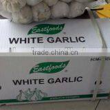 2014 New Fresh Garlic thumbnail-6