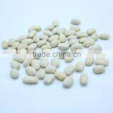 Chinese Medium White Kidney Beans Medium thumbnail-5