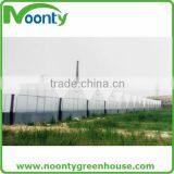 Greenhouse Film thumbnail-5