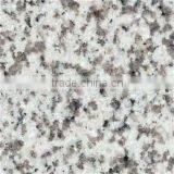 G655 Granite Tiles Slab White Grey Quarry Factory Owner thumbnail-1