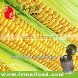3kg Canned Corn thumbnail-1