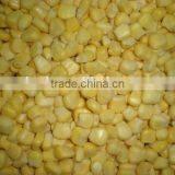 IQF Frozen Yellow SUPER Sweet Corn Kernel