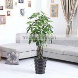 Decorative Indoor Trees