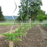 1.5m 1.8m plant binding tie / plastic twist ties for vineyards