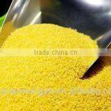 Glutinous Millet thumbnail-2