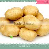 FRESH POTATO CROP 2014 thumbnail-1