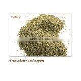 Celery Seeds thumbnail-2