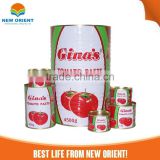 oem brand canned tin packing tomato fresh ketchup tomato paste sauce