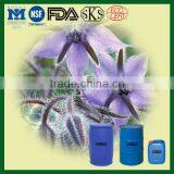Healthcare Supplement Ingredient Borage Seed Oil