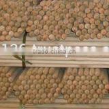 FACTORY PRICE NATURAL EUCALYPTUS WOODEN BROOM STICK WITH SCREW