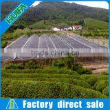 Large Multi-span Agricultural Greenhouse for Sale thumbnail-3