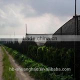 New!!!China wholesale green agriculture sun shade net export