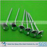 Umbrella Roofing Nails With Washer