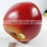 Artificial PE Apple for Decoration thumbnail-2